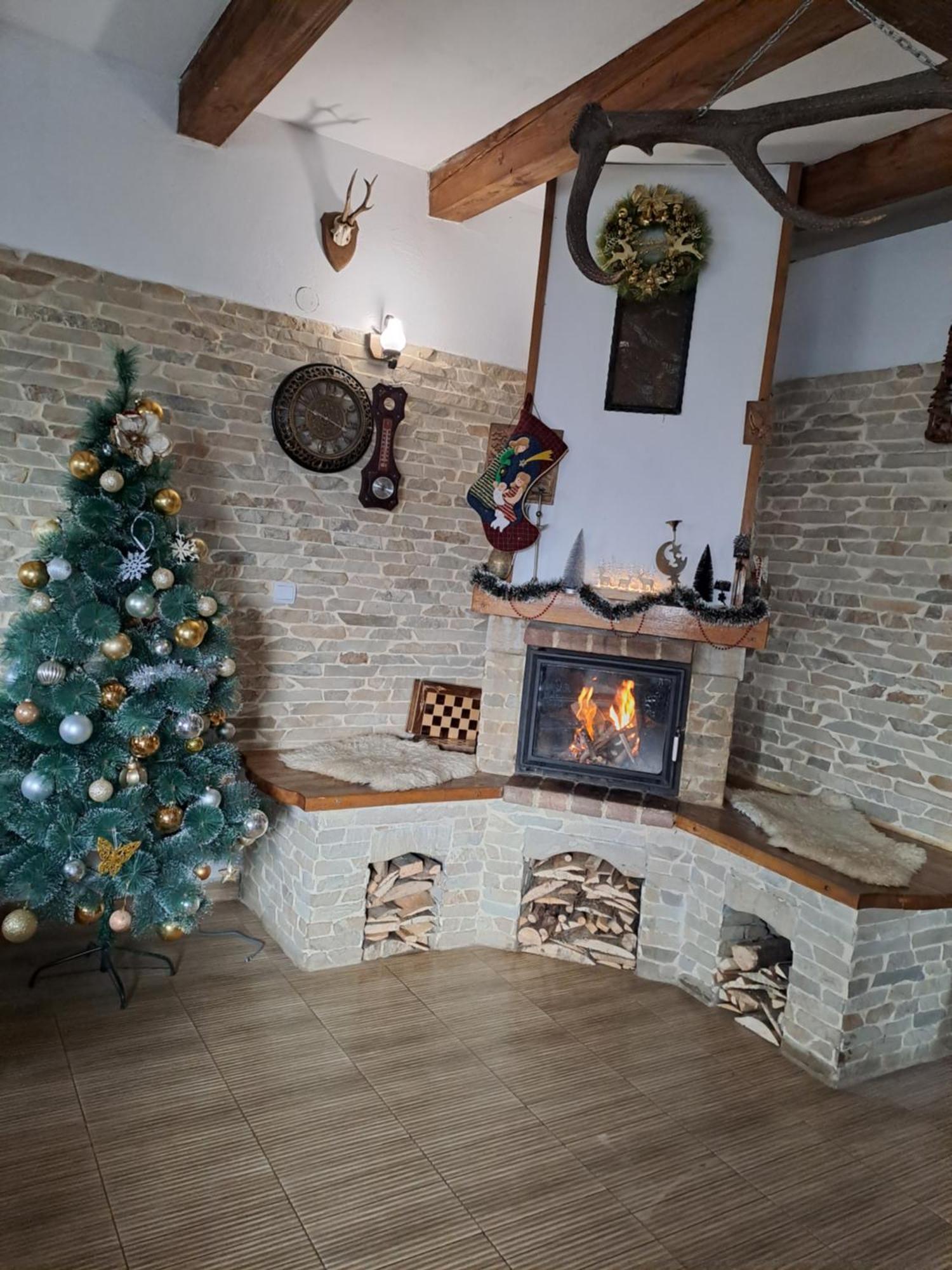Hotel Casa Cristalul Muntilor à Poiana Mărului Extérieur photo