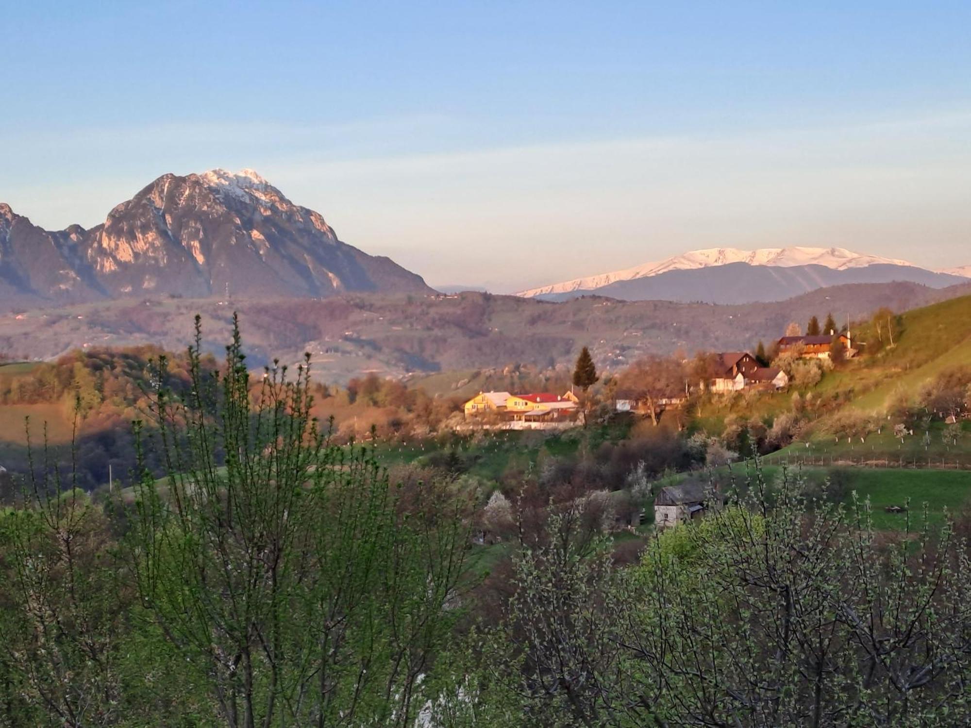 Hotel Casa Cristalul Muntilor à Poiana Mărului Extérieur photo