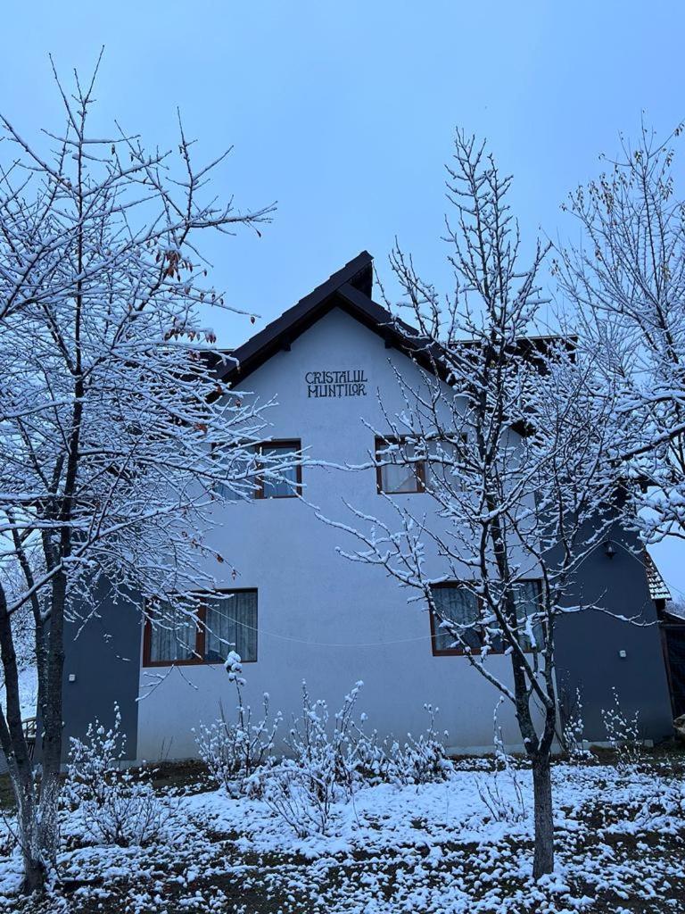 Hotel Casa Cristalul Muntilor à Poiana Mărului Extérieur photo