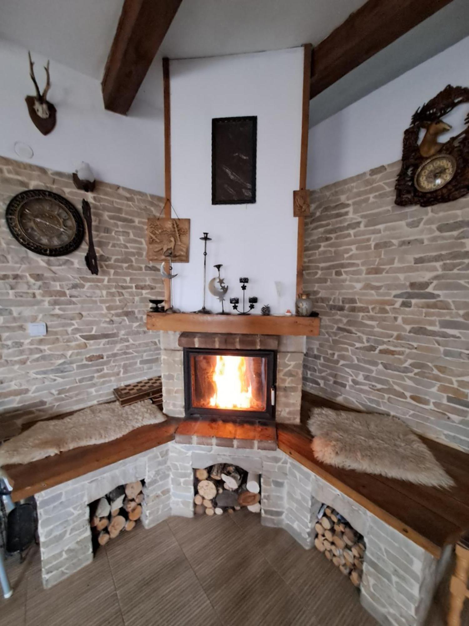 Hotel Casa Cristalul Muntilor à Poiana Mărului Extérieur photo